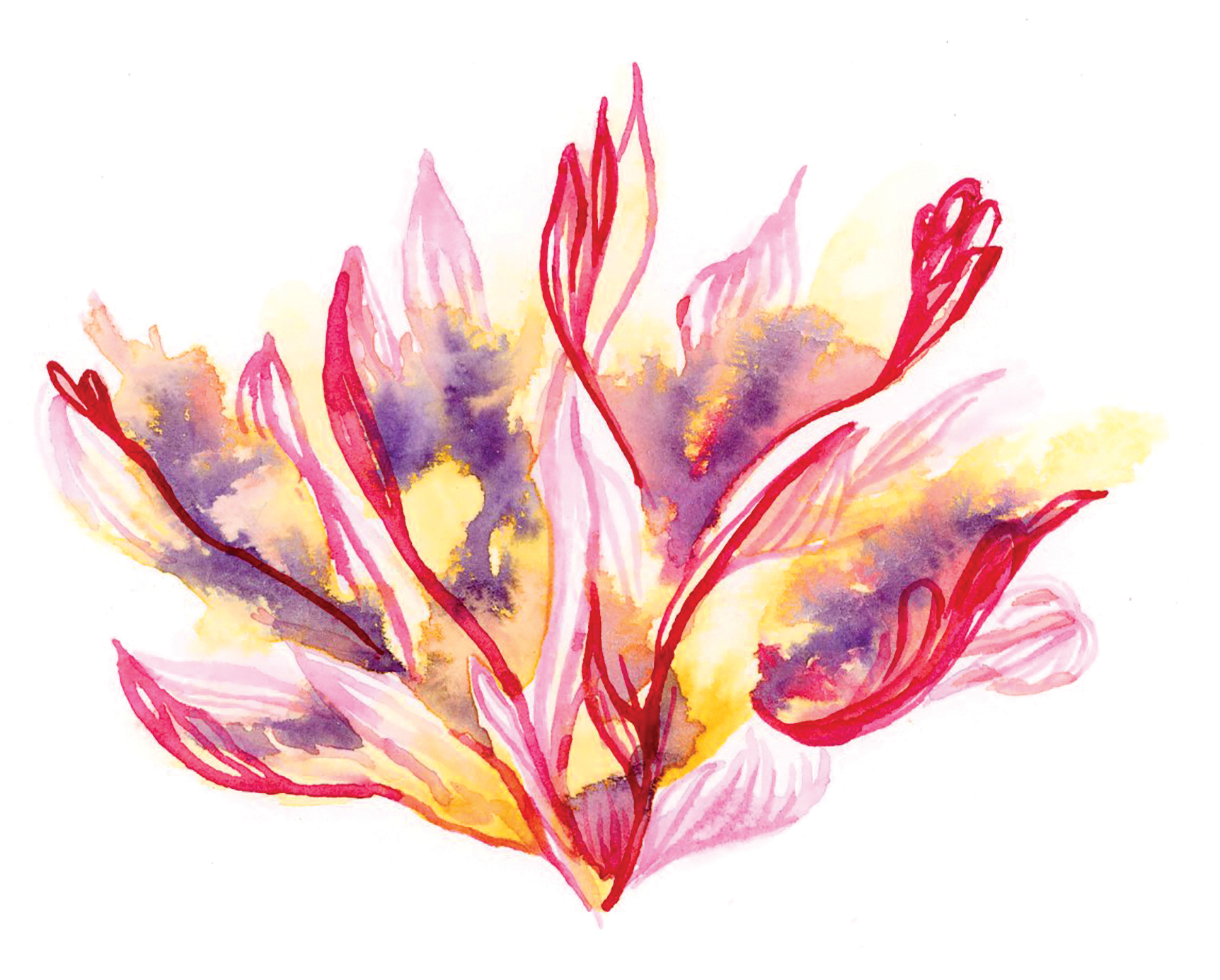 Fun Flowers Card Set - Image 5