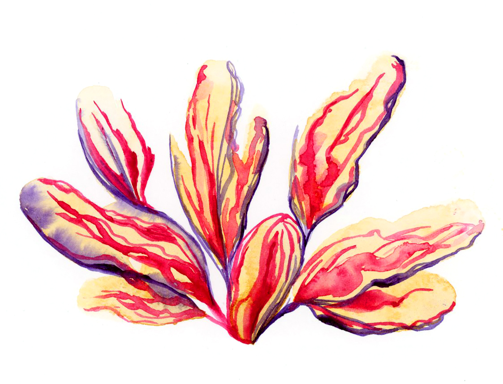 Fun Flowers Card Set - Image 2