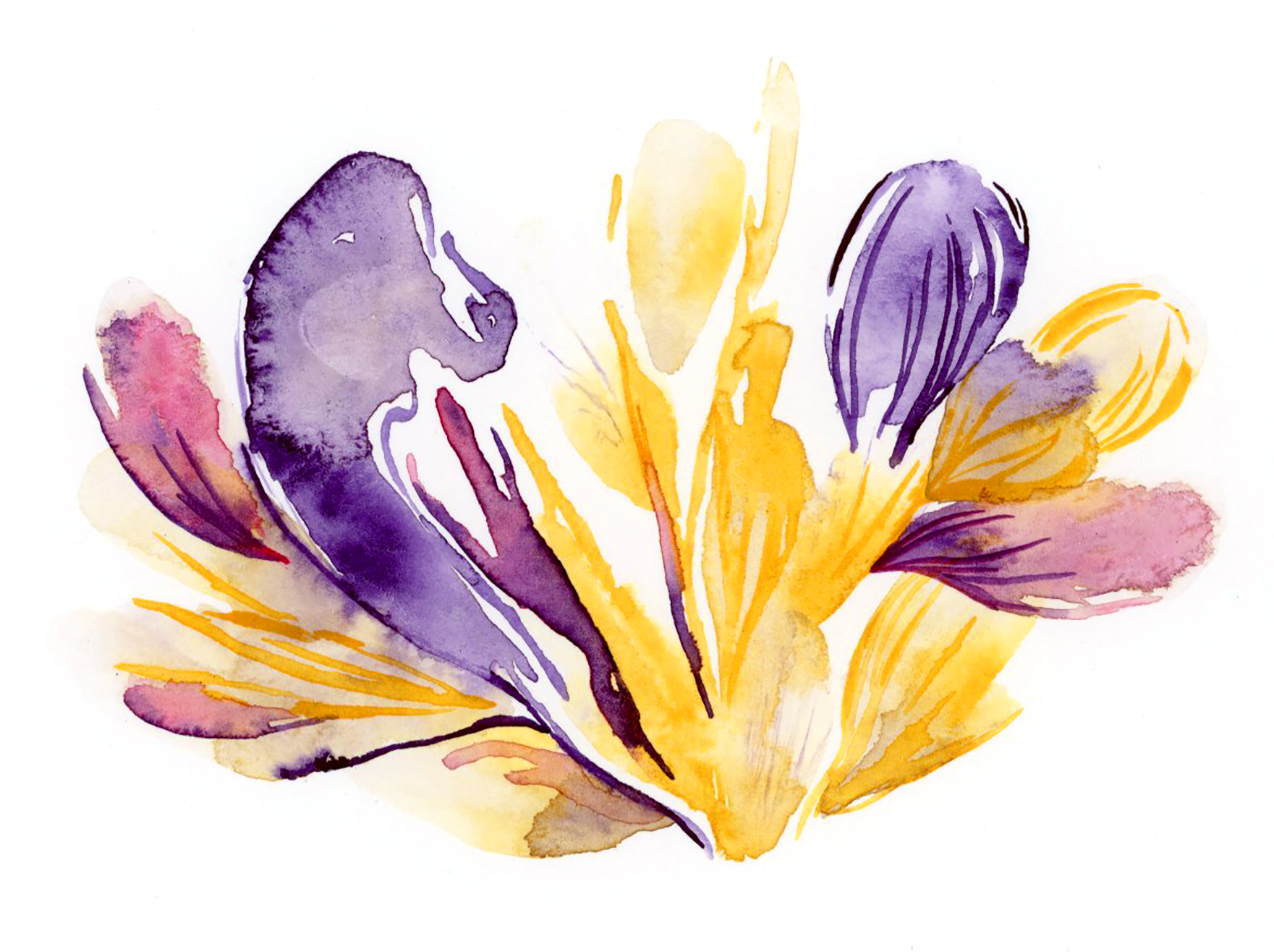 Fun Flowers Card Set - Image 4