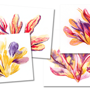 Fun Flowers Card Set