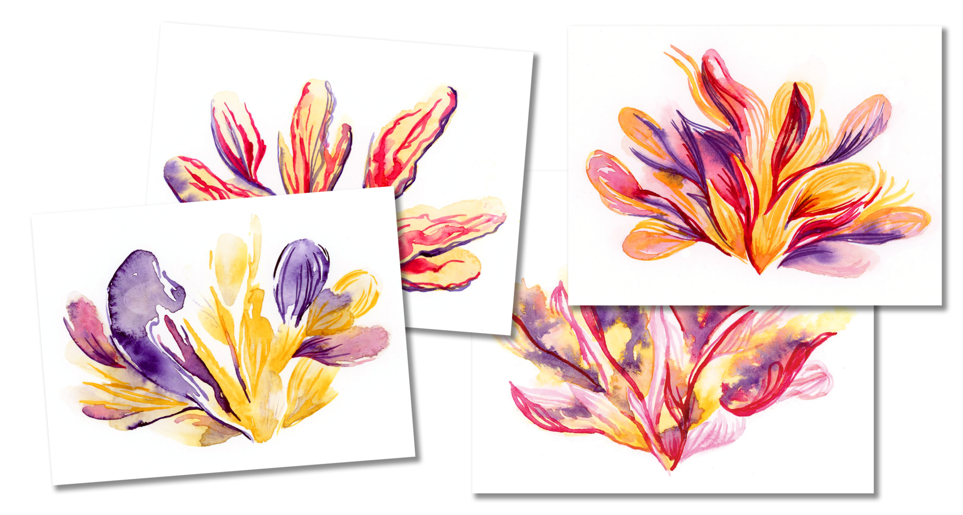 Fun Flowers Card Set